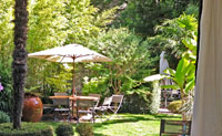 VERNISSAGE PRIVÉ
"RENDEZ-VOUS AU JARDIN"