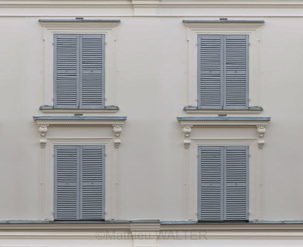 Windows eyes
