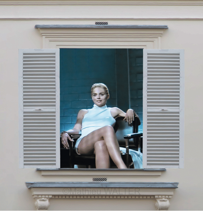WINDOWS PRIVACY