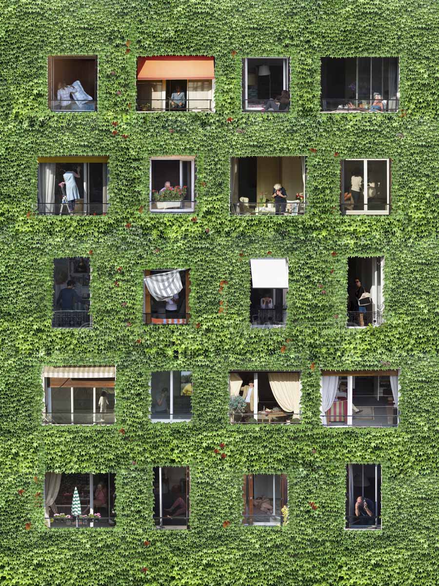 Windows #2