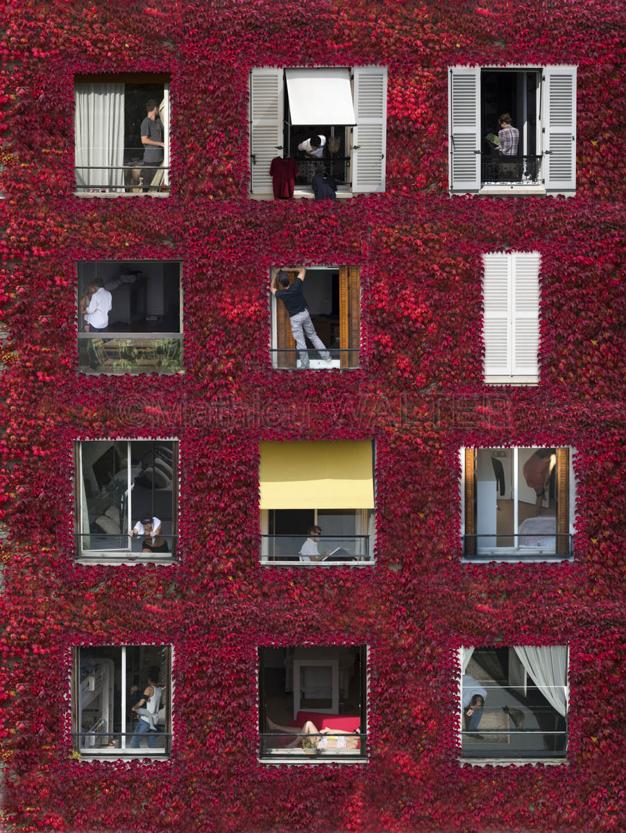 Windows #1