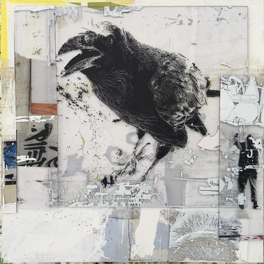 Crow